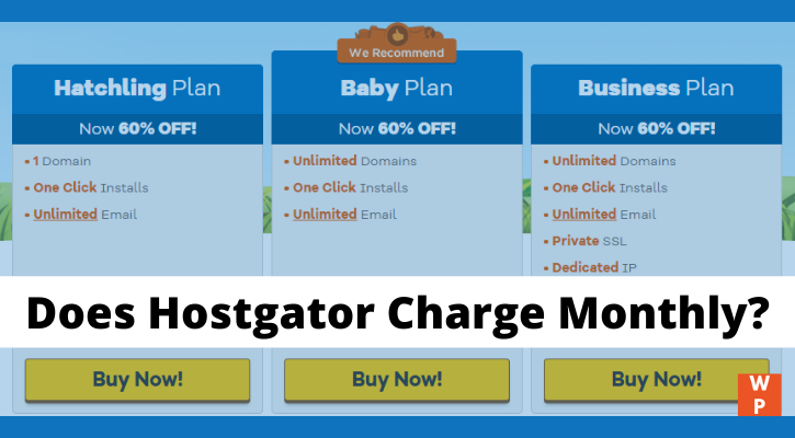 Does Hostgator Charge Monthly