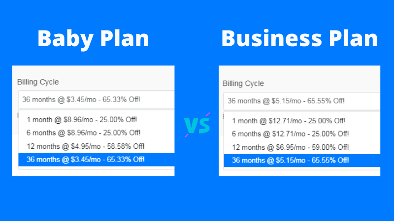 Hostgator Baby vs business plan 