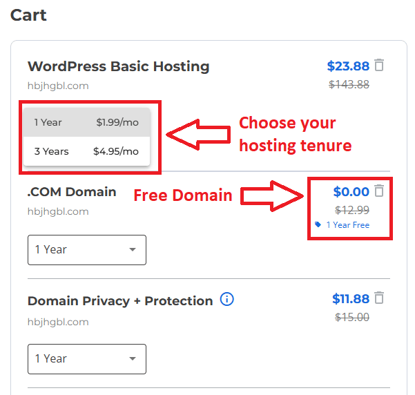How To Start A WordPress Blog (Step By Step Guide For Beginner) In 2025 9 Bluehost free domain