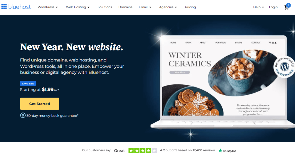 Bluehost free domain