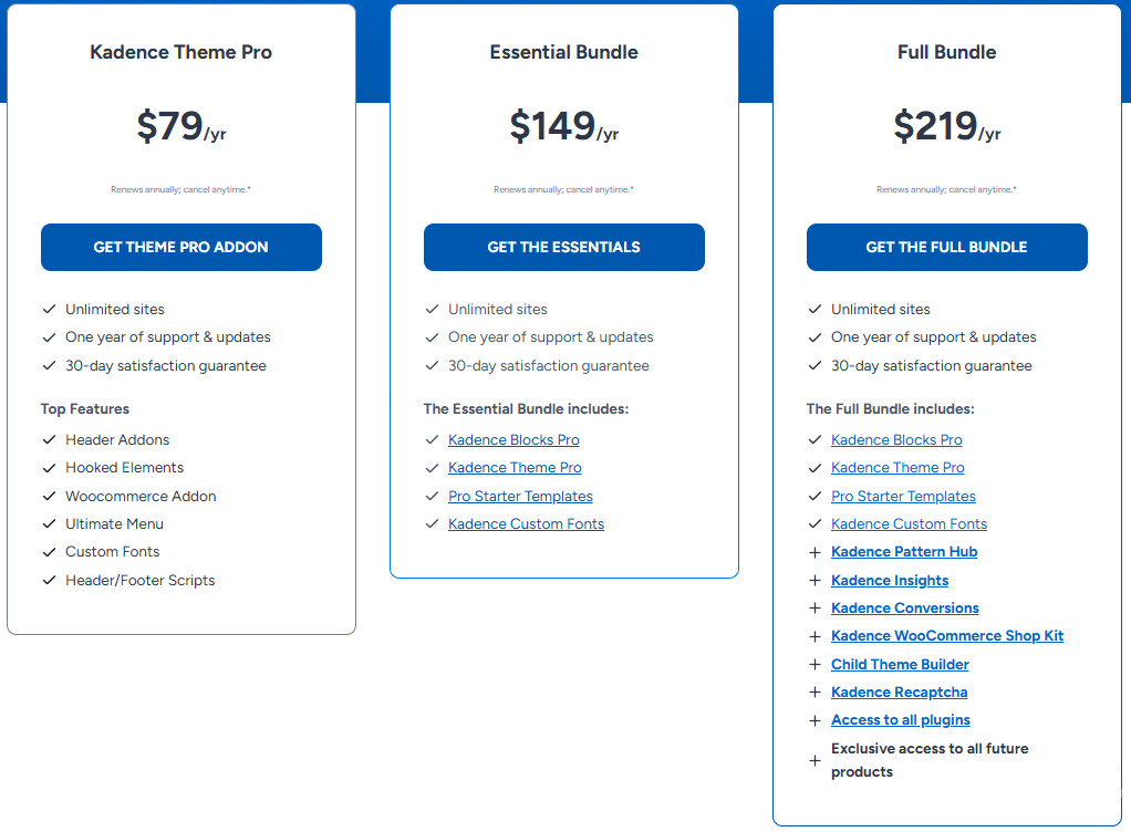 Kadence theme pricing