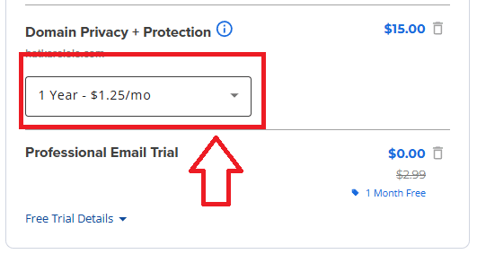 bluehost domain privacy protection